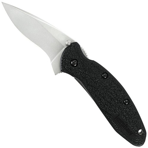 Scallion 420HC Steel 2.4 Inch Blade Folding Knife