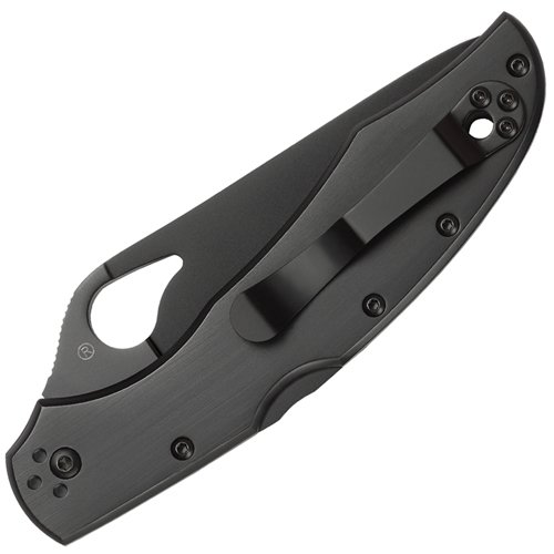 Byrd Cara Cara 2 Stainless Steel Handle Folding Blade Knife