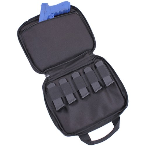 Double gun Carry Case