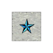 Star 3-D 2 Inches Teal And Black Patch