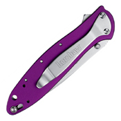 Kershaw Leek SpeedSafe Opening Folding Blade Knife