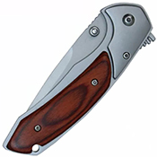 Spring Assisted Folding Knife