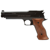 Sig Sauer Precision Super Target Wood Frame .177 Cal Pellet gun