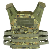 Shadow Strategic Spartan Plate Lightweight Carrier