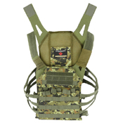 Shadow Strategic Spartan Plate Lightweight Carrier