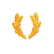 Scrambled Eggs Military Pin