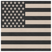 Subdued 22 Inches US Flag Bandana